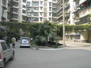 大石西路62号2室2厅南
