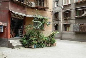 东篱路179号院3室1厅南