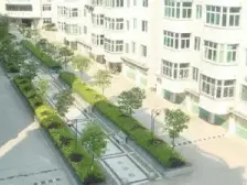 竹林花园 南北通透,采光好 视野好,诚心出售