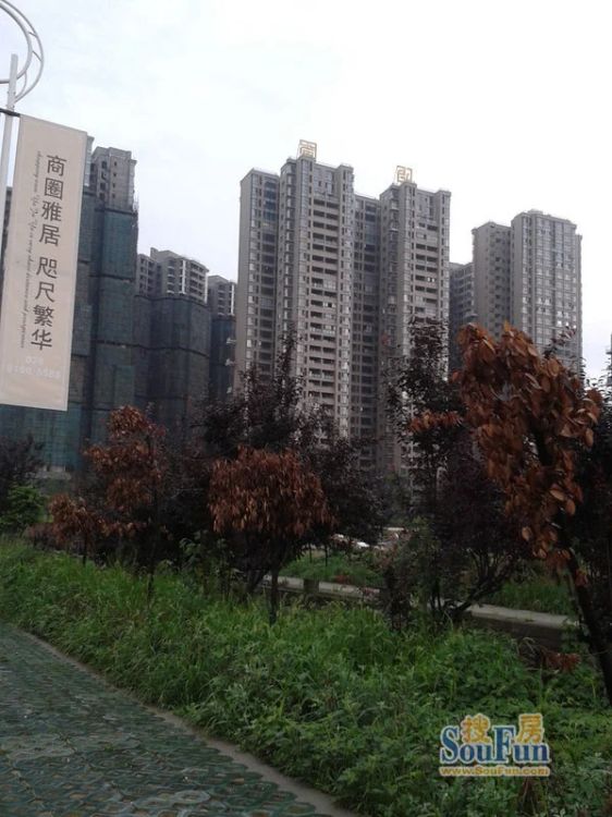小区相关图