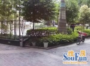 卫民巷83号 2室1厅 东北
