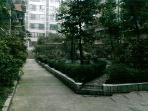 卫民巷83号3室2厅西南东南东南