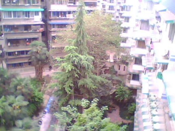 新科庭院实景图