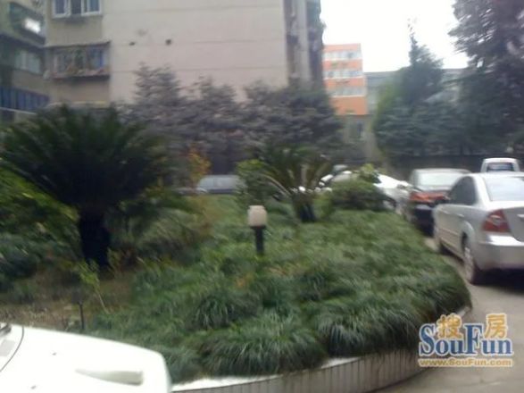 新科庭院实景图