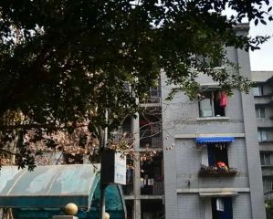 铝材厂宿舍3室1厅东南
