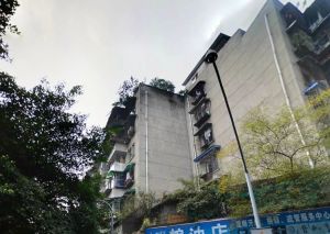 清江南街1号3室1厅东南