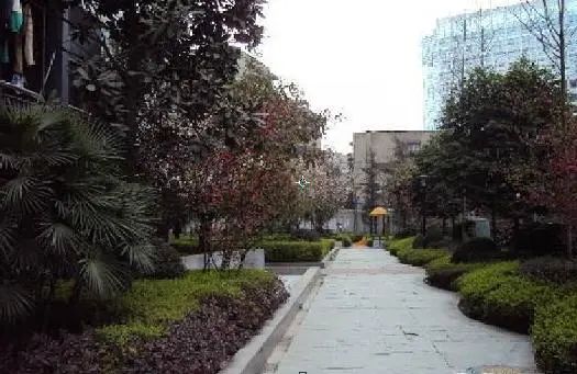小区相关图