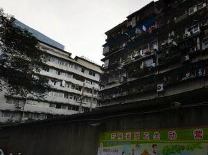 均隆街40号2室1厅东南