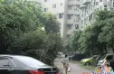 凤溪苑实景图