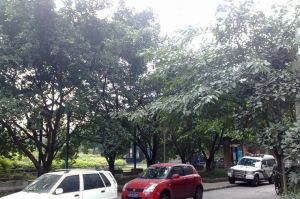 金荷名邸3室2厅南南东
