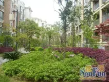 平安曼哈顿风情(聚仁哈佛公馆) 南北通透,采光好 装修好,环镜优美 视野好,诚心出售