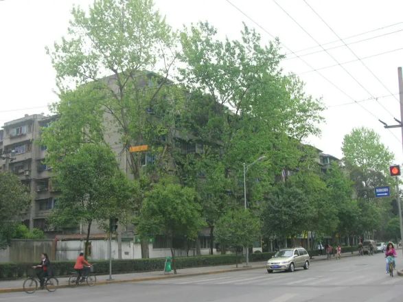 成都血液中心小区实景图