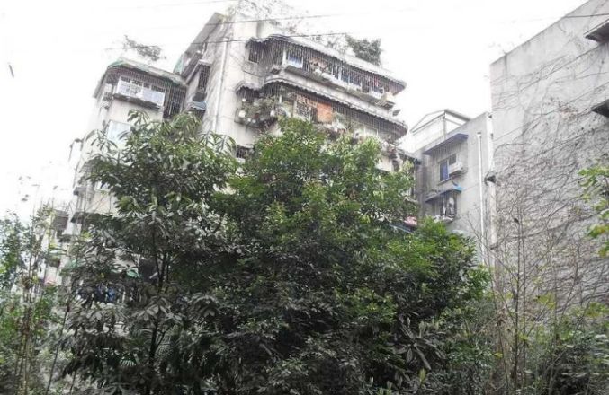 成都血液中心小区实景图