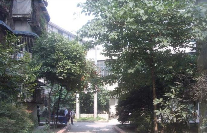 成都血液中心小区实景图