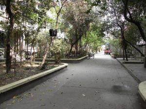 石人西路31号3室2厅东南