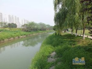 蓝光COCO金沙一期3室1厅东南