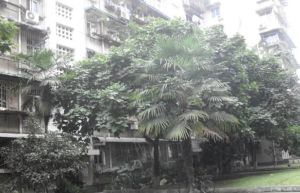 长钢小区3室2厅东南