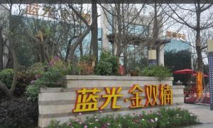 蓝光金双楠二期 3室1厅 东