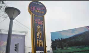 蓝光金双楠二期3室2厅东南