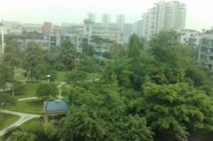 万家和花园 3室2厅 东南