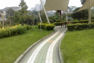 万家和花园3室2厅南