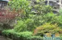 金沙商业中心实景图