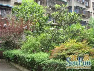 金沙商业中心实景图