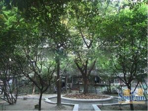 中学路15号3室1厅南北