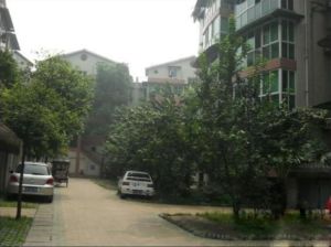 紫瑞花园2室1厅南