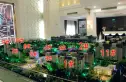 美加印象四期实景图