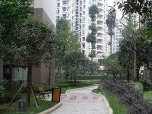 双楠吉家 3室1厅 东