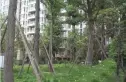 双楠吉家实景图