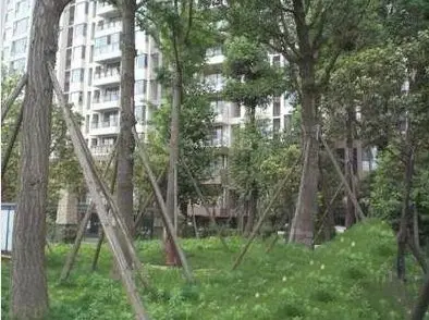 双楠吉家实景图