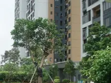 万科复式洋房 带露台 大四房 毛坯随意装修