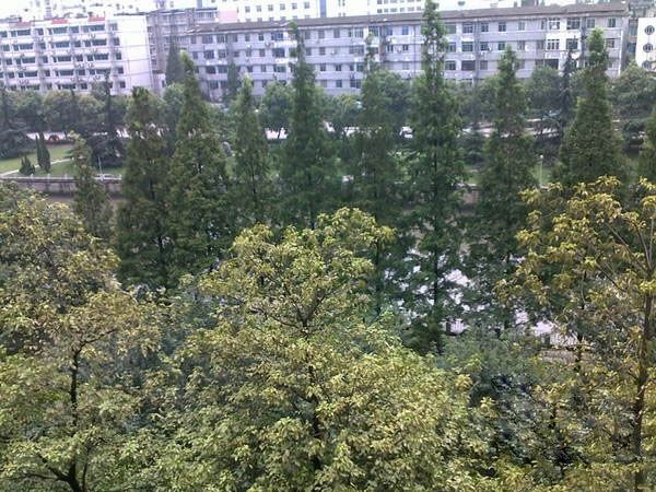 小区相关图