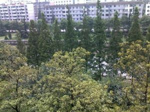 越鞠苑4室2厅东南