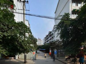沙河新居3室2厅南北
