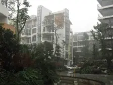 逸水青城兰卡威 3室2厅 东南