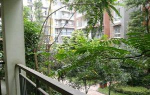 逸水青城兰卡威2室2厅南