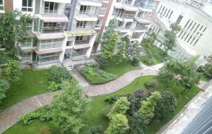 逸水青城兰卡威3室2厅南