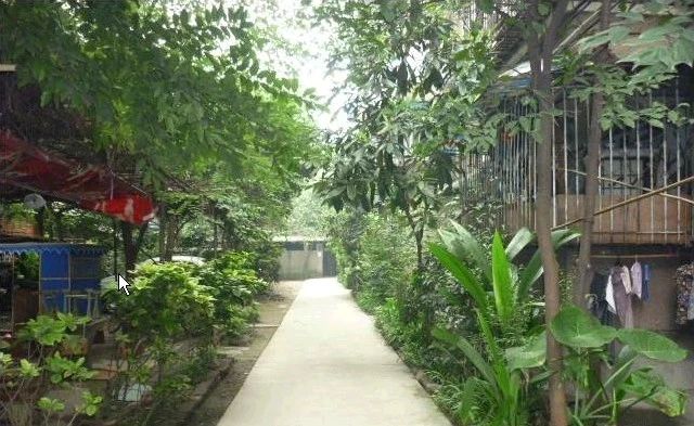 玉林横街26号院实景图