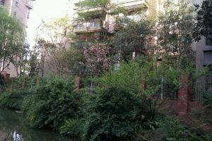 兴堰丽景D区2室2厅南