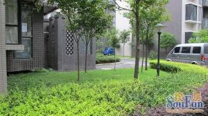 沙西明珠 4室2厅 南 北