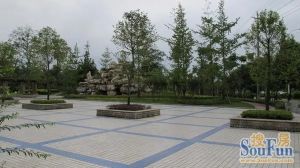 沙西明珠 4室2厅 南