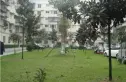 怡馨苑实景图
