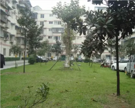 怡馨苑实景图
