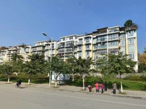 丰和日丽3室2厅南