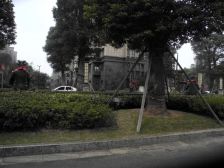 城市嘉苑,复试住宅,有车位,储藏室。