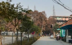 清江东路358号2室1厅南北