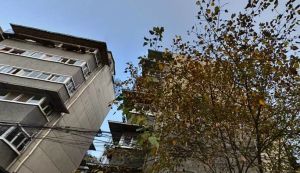 专气厂宿舍区 2室1厅 西南